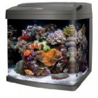 Coralife Biocube, Size 29