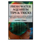 Freshwater Aquarium Tips &Tricks: What you Need to Know to Have the Perfect Fresh Freshwater Aquarium Tips &Tricks: What you Need to Know to Have the Perfect Fresh