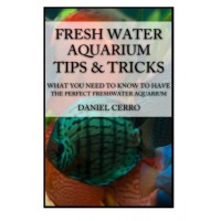 Freshwater Aquarium Tips &Tricks: What you Need to Know to Have the Perfect Fresh