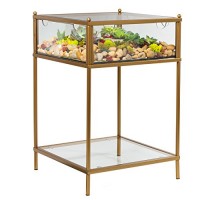 Terrarium Display End Table with Reinforced Glass in Gold Iron