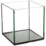 Deep Blue Professional ADB11441 Rimless Cube Aquarium Glass Tank, 8 by 8 by 8-Inch Deep Blue Professional ADB11441 Rimless Cube Aquarium Glass Tank, 8 by 8 by 8-Inch