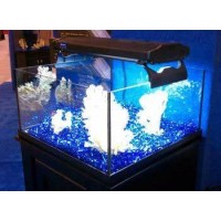 Deep Blue Professional ADB13530 30-Gallon Rimless Mini Frag for Aquarium, 24 by 24 by 12-Inch