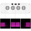 Dimgogo 2000w Triple Chips LED Grow Light Full Spectrum Grow Lamp for Greenhouse and Hydroponic Indoor Plants Veg and Flower (10w Leds)