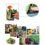 EarthPods Premium Biological Organic Plant Food & Flower Fertilizer Capsules (70+ Minerals & Nutrients, High % Humic/Fulvic Acids & Beneficial Natu...