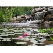 EasyPro WF10E Eco-Series Prelude Waterfall Filter for Ponds up to 1000 Gallons EasyPro WF10E Eco-Series Prelude Waterfall Filter for Ponds up to 1000 Gallons