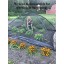EasyPro PCT810 Pond Garden Cover Protective Net Tent Dome Netting 8ft by 10ft