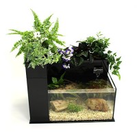 Fin to Flower Aquaponic Aquarium - Large System C (Black)