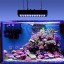 Galaxyhydro Led 55x3w Dimmable 165w Full Spectrum LED Aquarium Light for Reef Coral & Fish