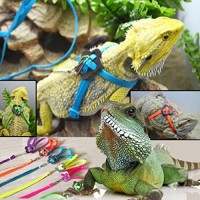 GBSELL Adjustable Reptile Lizard Harness Leash Adjustable Multicolor Light Soft Fashion (orange)