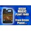 Green Planet Nutrients - Ocean Magic (4 Liters) (0.2-0.2-3) | An Organic Extract From Atlantic Sea Kelp Harvested From the Unpolluted Waters of the...