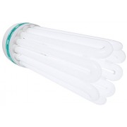 Hydrofarm Agrobrite FLB250D Compact Fluorescent Lamp, Dual, 250 Watt, 6500K Hydrofarm Agrobrite FLB250D Compact Fluorescent Lamp, Dual, 250 Watt, 6500K