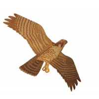 Jackite Assembled Peregrine Falcon Bird Kite, Wind Sock, Pest Deterrent