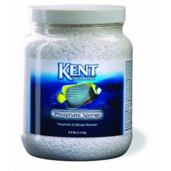 Kent Marine Phosphate Sponge, 2-Quart