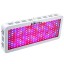 King Plus 2000W Double Chips LED Grow Light Full Spectrum for Greenhouse and Indoor Plant Flowering Growing (10w Leds)
