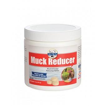 Koi Worx Muck Reducer, 145 tablets, Dry Beneficial Bacteria, Reduces Muck, Sludge, Organic build up, 100% natural bacteria, Safe for koi