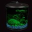 KollerCraft 2 Gallon 360 View Aquarium with Internal Filter and LED Lighting
