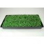 10 Plant Growing Trays (No Drain Holes) - 20" x 10" - Perfect Garden Seed Starter Grow Trays: For Seedlings, Indoor Gardening, Growing Microgreens,...