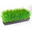5 Pack of Durable Black Plastic Growing Trays (with drain holes) 20" x 10" x 2" - Planting Seedlings, Flowers, Wheatgrass, Microgreens