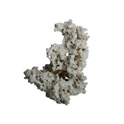 MarcoRocks Key Largo Dry Rock 10 Lb box MarcoRocks Key Largo Dry Rock 10 Lb box