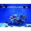 Mingdak LED Aquarium Light for Fish Tanks,18 Leds,7.5-inch,white