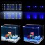 Nicrew LED Aquarium Hood Lighting Fish Tank Light for Freshwater and Saltwater, Blue and White Light