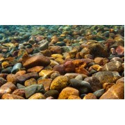 Penn-Plax Lenticular Background-LB3