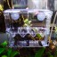 Petzilla PBI-2 Aquarium Fish Breeder Box for Hatchery, 6"x3.5"x7.3"