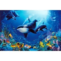 (24x36) Delight of Life Underwater Scene Art Print Poster