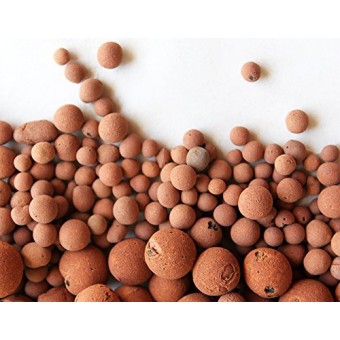 Hydro Clay Pebbles (Leca) Orchid/Hydroponic Grow Media - 10 lbs. (More than 10 Liters) by PowerGrow Systems