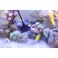 QANVEE Aluminum Magnesium Alloy Algae Scraper Cleaner Brush With 10 Stainless Steel Blade for Aquarium Fish Reef Plant Glass Tank 32-Inch