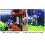 Rhinox Glass Drop Checker Kit - 3 Seconds to Read CO2 levels - 3 Minutes to Setup - Fastest way to ensure sufficient Co2 in Planted Aquarium - Incl...