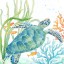 Roaring Brook Lovely Watercolor-Style Tropical Seahorse and Turtle Underwater Set by Cynthia Coulter; Coastal Décor; Two 12x12in Unframed Paper Pos...