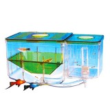Saim Aqua Nursery Automatic Circulating Hatchery Aquarium Saim Aqua Nursery Automatic Circulating Hatchery Aquarium