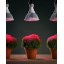 Sandalwood LED Plant Grow Light for Hydroponic Garden and Greenhouse, 12W, E27 Socket, 3 Bands