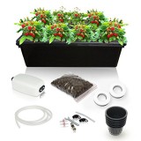 SavvyGrow Hydroponic Growing System Kit - 2 Large Airstones, Bucket with Air Pump - Complete Hydroponic Setup for Indoor Herbs, Seeds, Seedlings, L... SavvyGrow Hydroponic Growing System Kit - 2 Large Airstones, Bucket with Air Pump - Complete Hydroponic Setup for Indoor Herbs, Seeds, Seedlings, L...