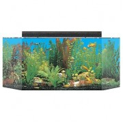 SeaClear 26 gal Flat Back Hexagon Acrylic Aquarium Combo Set, 36 by 12 by 16", Clear SeaClear 26 gal Flat Back Hexagon Acrylic Aquarium Combo Set, 36 by 12 by 16", Clear