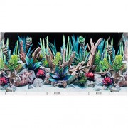SeaView Double-Sided Desert Dream & Deep Flora Terrarium Background, 36" L X 18" H, Medium
