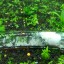 Senzeal Clear Glass 3 Hole Planaria Leech Catcher Vivarium Pest Trap Catch for Aquarium Fish Tank