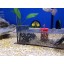 sera Snail Collect Aquarium Treatments