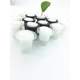 SUNYUM Hydroponics Seed Growing Media Cylindric Sponges 1.2x1.3 for 1.8" Net Cup Pots Basket Pack of 100 (1.8)