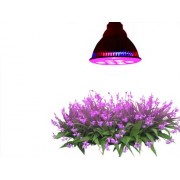 Highest Efficient Hydroponic LED Grow Light, TaoTronics E27 Plant Grow Lights (12w 3 Bands) Highest Efficient Hydroponic LED Grow Light, TaoTronics E27 Plant Grow Lights (12w 3 Bands)