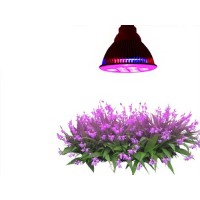 Highest Efficient Hydroponic LED Grow Light, TaoTronics E27 Plant Grow Lights (12w 3 Bands)