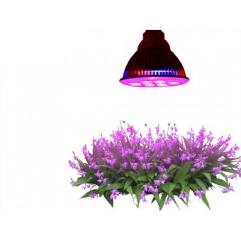 Highest Efficient Hydroponic LED Grow Light, TaoTronics E27 Plant Grow Lights (12w 3 Bands)