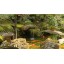 Zen Relaxation DVD - Japanese Gardens for Relaxing and Meditation