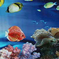 Fish Tank Background - 1 Piece Background Aquarium Ocean Landscape Poster Fish Tank