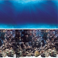 Vepotek Aquarium Background Deep Seabed/Coral Rock Double sides (Deep Seabed/Coral Rock, 48WX24H)