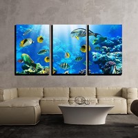 wall26-3 Piece Canvas Wall Art - Photo of a Tropical Fish on a Coral Reef - Modern Home Decor Stretched and Framed Ready to Hang - 24"x36"x3 Panels