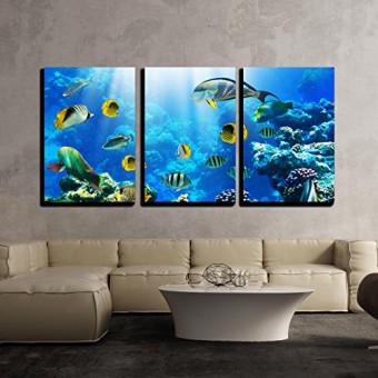 wall26-3 Piece Canvas Wall Art - Photo of a Tropical Fish on a Coral Reef - Modern Home Decor Stretched and Framed Ready to Hang - 24"x36"x3 Panels