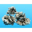 Worldwide Imports AWW0855 Atlantic Coral Rock, 40-Pound